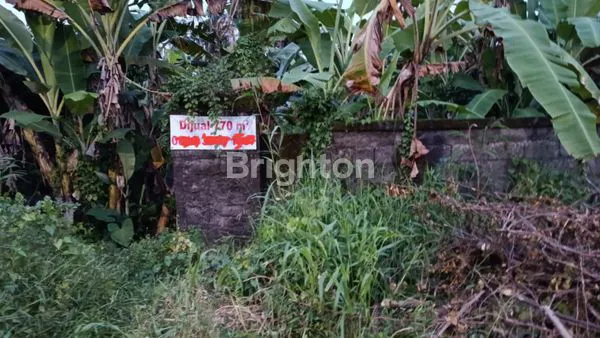 image JUAL TANAH DI SABA, GIANYAR (1)