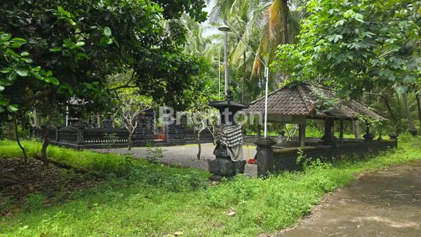 image SINGARAJA BULELENG-BALI (4)