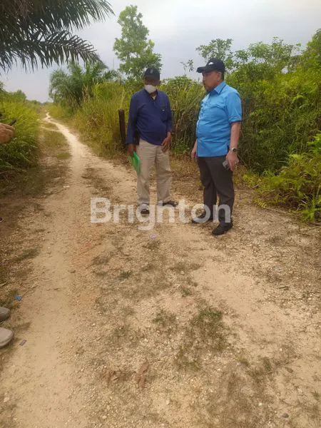 image DIJUAL TANAH BELUKAR (1)