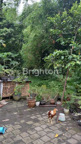 image DIJUAL TANAH 1000METER, LOKASI STRATEGIS DIKELILINGI SUNGAI COCOK UNTUK CLUSTER (1)