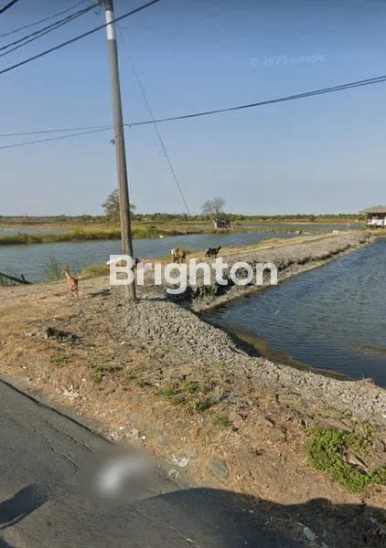 image TANAH TAMBAK OSO - 10,5HA !!! (2)