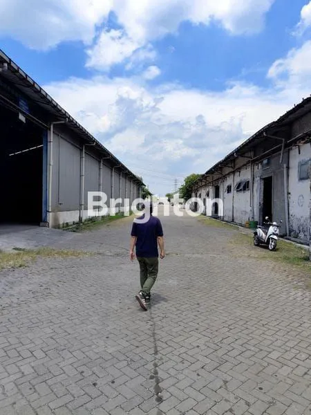 image  GUDANG RAYA DRIYOREJO (3)