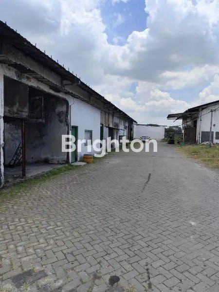 image  GUDANG RAYA DRIYOREJO (2)