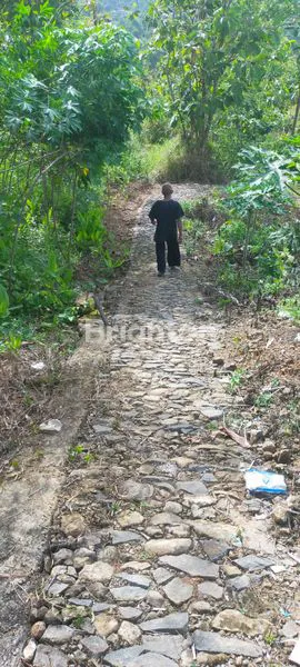 image DIJUAL MURAH KEBUN WISATA  (4)