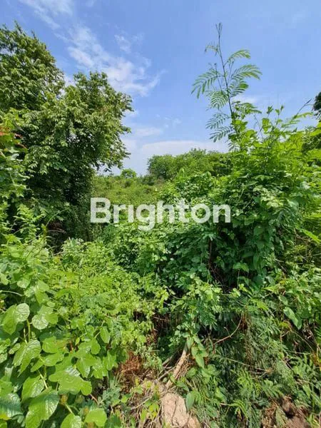 image TANAH GENDING, PROBOLINGGO (2)