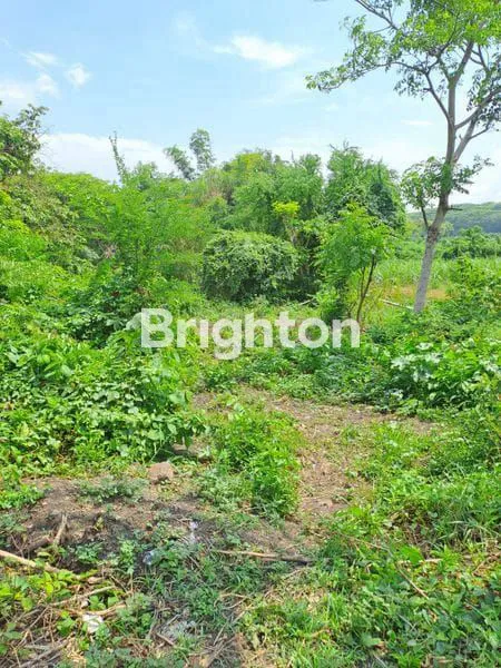 image TANAH GENDING, PROBOLINGGO (3)