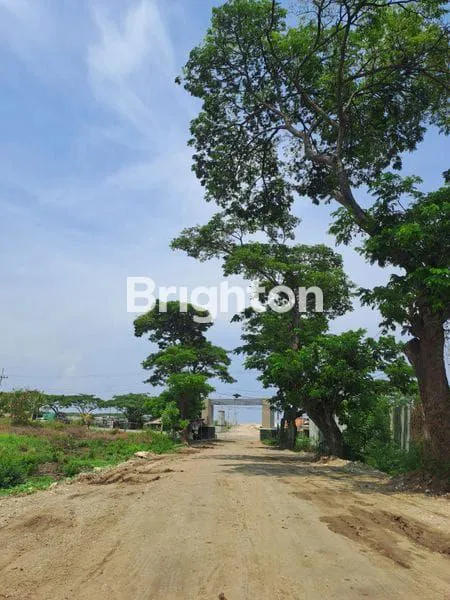 image TANAH GENDING, PROBOLINGGO (1)