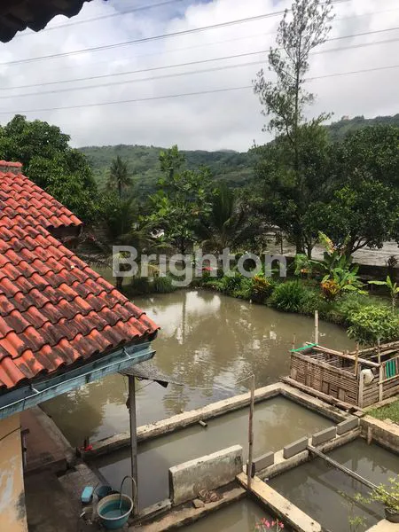 image RUMAH 2 LANTAI, SHM, COCOK TEMPAT TINGGAL ,USAHA & INVESTASI LOKASI STRATEGIS SAMPING TERMINAL LEMBUR SITU KOTA SUKABUMI (7)