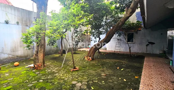 image STRATEGIS AREA NIAGA DI JALAN GAJAH SEMARANG (7)