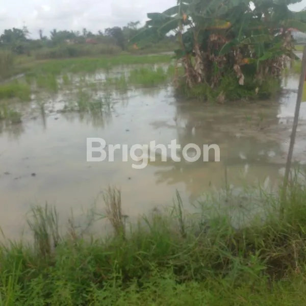 image LAHAN LUAS DEKAT BANDARA KUALANAMO (2)