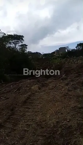 image PREMIUM LAND WITH DIRECT MOUNT BATUR VIEW (4)