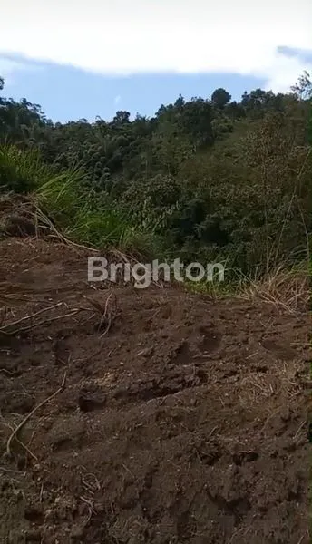 image PREMIUM LAND WITH DIRECT MOUNT BATUR VIEW (3)