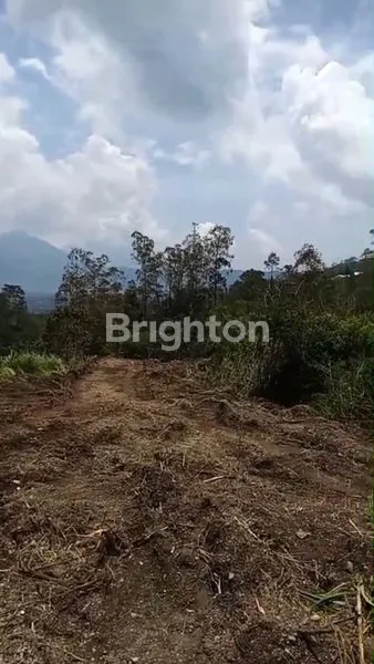 image PREMIUM LAND WITH DIRECT MOUNT BATUR VIEW (1)