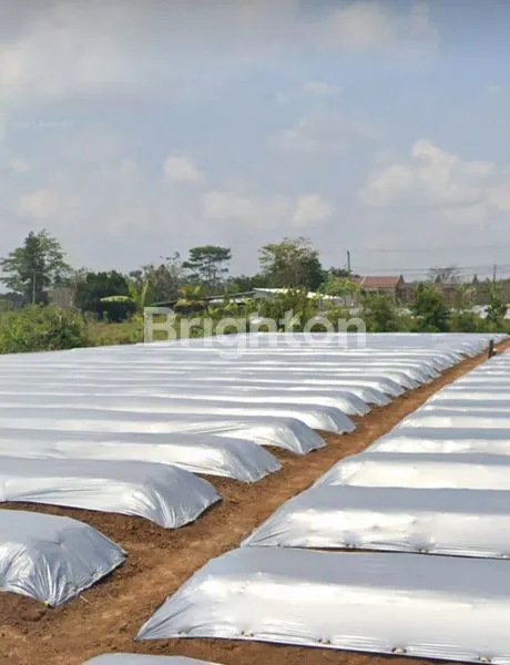 image TANAH DI GRAHA DEWATA DAU MALANG (2)