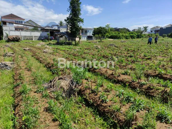 image TANAH DI GRAHA DEWATA DAU MALANG (1)