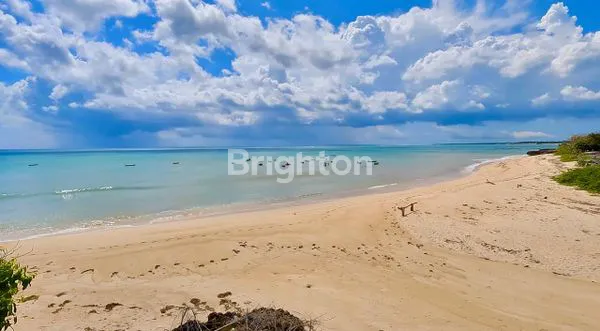 image TANAH LUAS 6.400M² DI PANTAI NEMBERALA ROTE (7)