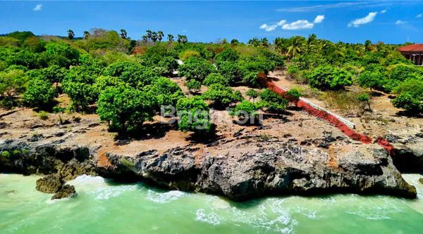 image TANAH LUAS 6.400M² DI PANTAI NEMBERALA ROTE (4)