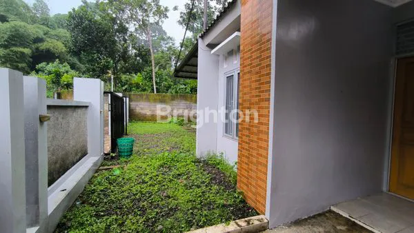 image RUMAH DISEWAKAN KOSONGAN LUAS LEGA NYAMAN DAN ASRI AREA UNGARAN BARAT (2)