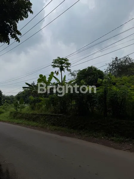 image DUJUAL TANAH ISTIMEWA KALIJATI SUBANG (4)