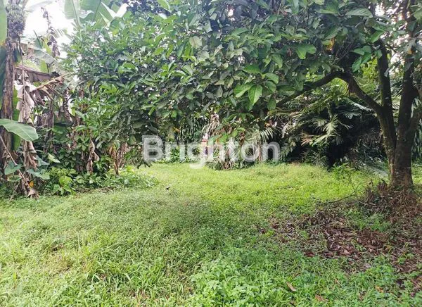 image TANAH DATAR SIAP BANGUN DI PINGGIR JALAN KRACAK , RANCA BUNGUR BOGOR (4)