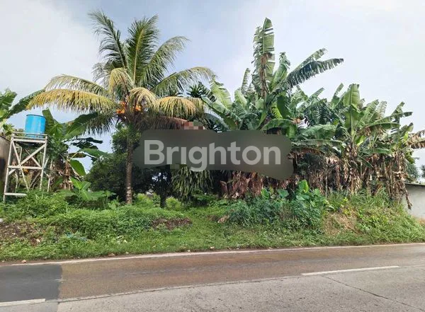 image TANAH DATAR SIAP BANGUN DI PINGGIR JALAN KRACAK , RANCA BUNGUR BOGOR (2)