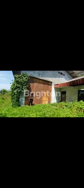 image EKS GUDANG MULTI FUNGSI LOKASI SANGAT STRATEGIS DI PINGGIR JALAN BESAR SEMARANG TIMUR (4)