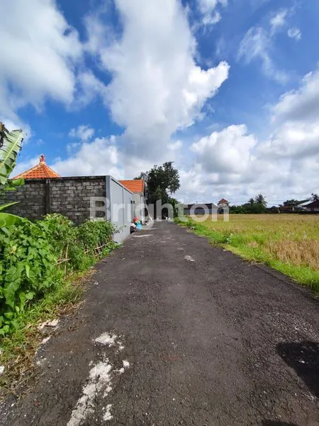 image SEWA TAHUNAN VILLA TABANAN | YEARLY RENT VILLA TABANAN (2)