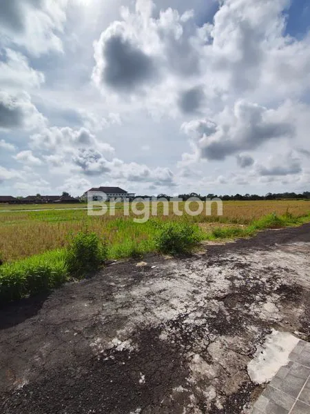 image SEWA TAHUNAN VILLA TABANAN | YEARLY RENT VILLA TABANAN (4)