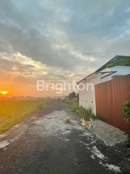 image SEWA TAHUNAN VILLA TABANAN | YEARLY RENT VILLA TABANAN (1)