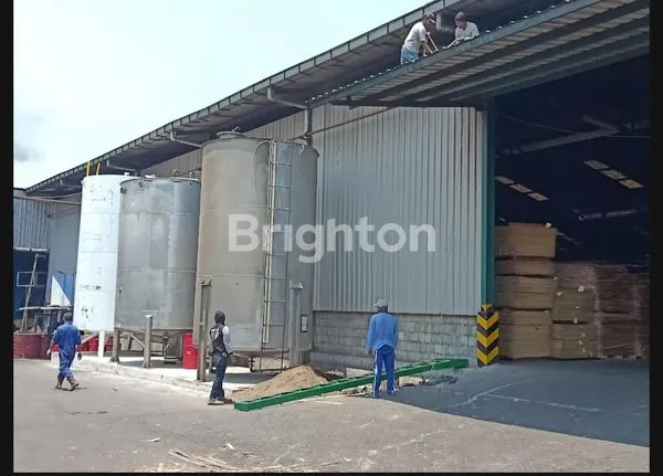 image PABRIK BEJI PANDAAN GUNUNG GANGSIR PASURUAN JAWA TIMUR (6)