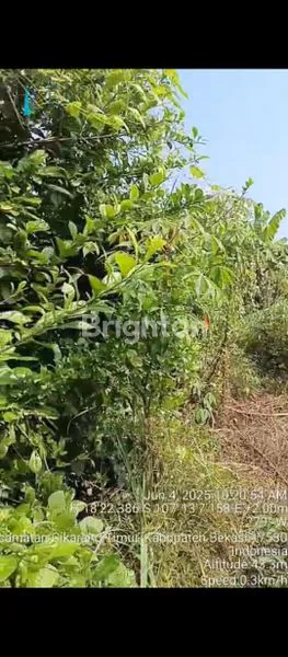 TANAH LUAS 1,6 HEKTAR DI KARAWANG, COCOK UNTUK INVESTASI