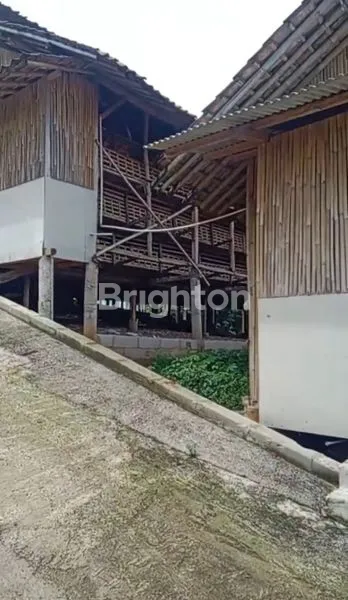 PETERNAKAN AYAM PETELUR LENGKAP DGN 13 KANDANG DLL ALL IN DI CIKADU ARJASARI JABAR