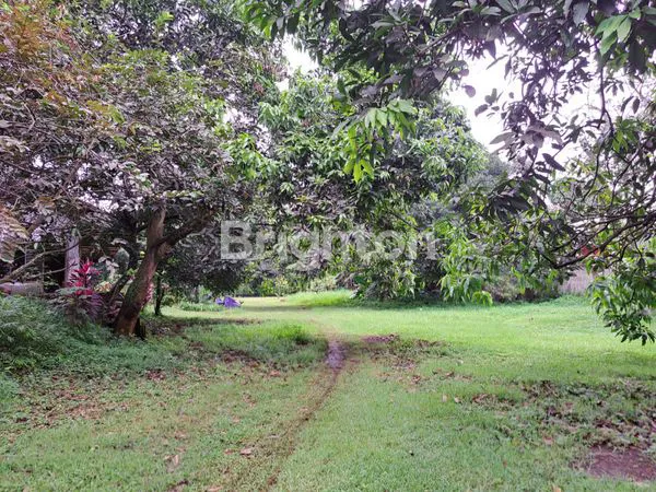 image DIJUAL TANAH STRATEGIS – KESEMPATAN EMAS! \UD83C\UDFE1\U2728 (3)