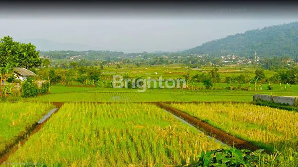 image TANAH SAWAH SHM 3.111M², STRATEGIS DI KAWASAN WISATA GARUT (3)