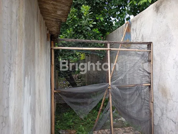 image RUMAH PRIBADI DAN KONTRAKAN DI KABUPATEN BOGOR (6)