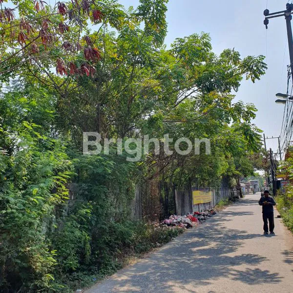 image LAHAN LUAS DI BELAKANG BANDARA SOETTA TELUK NAGA KABUPATEN TANGERANG  (7)