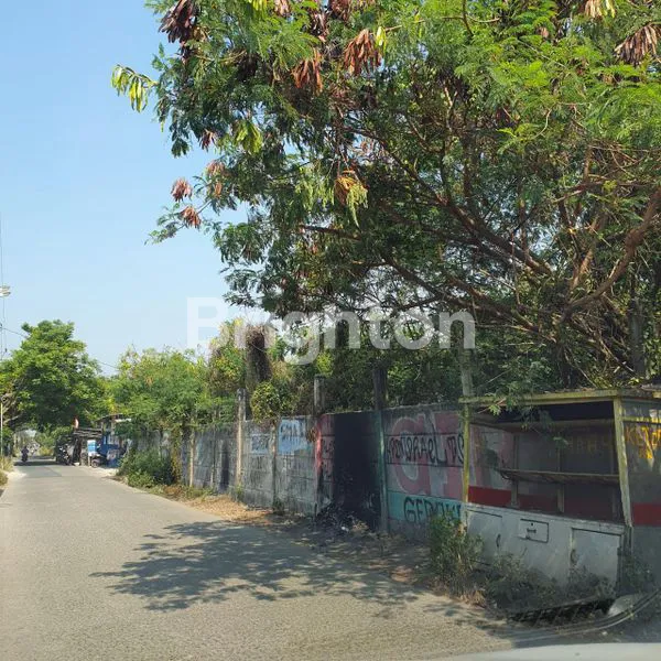 image LAHAN LUAS DI BELAKANG BANDARA SOETTA TELUK NAGA KABUPATEN TANGERANG  (3)