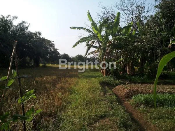 image DIJUAL LAHAN LUAS 4.715M² DI JL. MT HARYONO, BINJAI (1)