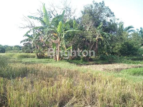 image DIJUAL LAHAN LUAS 4.715M² DI JL. MT HARYONO, BINJAI (3)