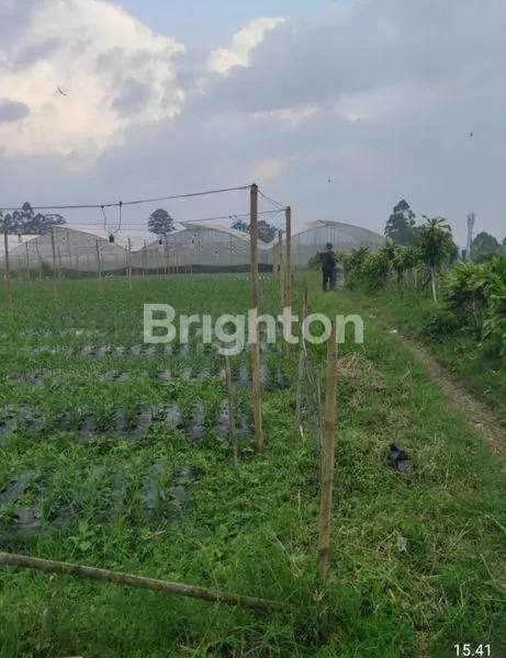 image LAHAN USAHA 1.870M2 LOKASI STRATEGIS NILAI INVESTASI MENJANJIKAN (2)