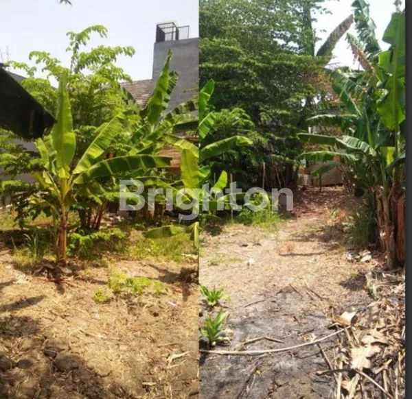 image TANAH  KANDANGAN DEKAT RAYA TENGGER , SAMBIKEREP, BRINGIN INDAH , CITRALAND, MARGOMULYO SURABAYA ( K  260 ) (1)