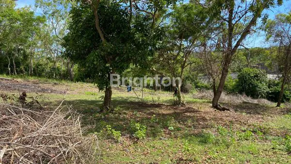 image TANAH 62 ARE VIEW BENOA – LOKASI EMAS UNTUK PERUMAHAN EKSKLUSIF (5)