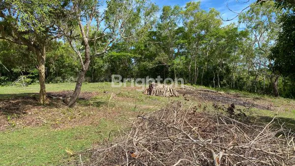 image TANAH 62 ARE VIEW BENOA – LOKASI EMAS UNTUK PERUMAHAN EKSKLUSIF (7)