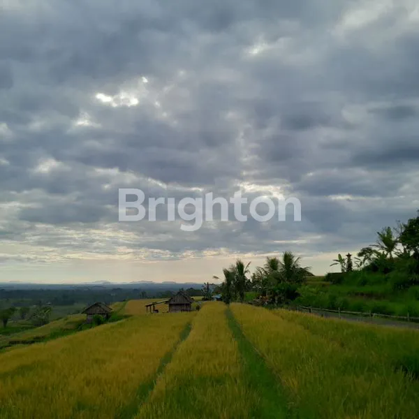 image TANAH 62 ARE VIEW BENOA – LOKASI EMAS UNTUK PERUMAHAN EKSKLUSIF (4)