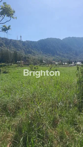 image TANAH LUAS 6,7 HA DI DANAU BUYAN, POTENSI RESORT & WISATA ALAM (2)