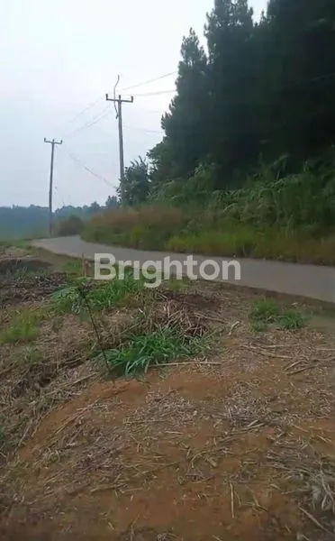 image TANAH KOSONG 10 HA 85RB/MTR DI CIGUDEG BOGOR (1)