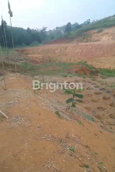 image TANAH KOSONG 10 HA 85RB/MTR DI CIGUDEG BOGOR (2)