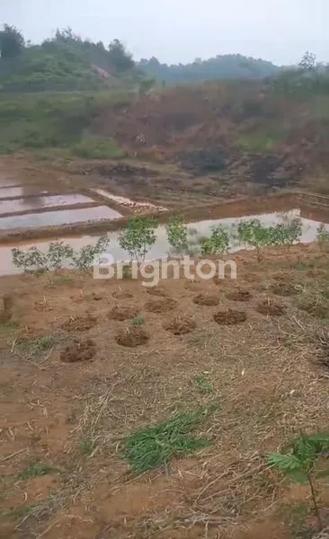 image TANAH KOSONG 10 HA 85RB/MTR DI CIGUDEG BOGOR (3)