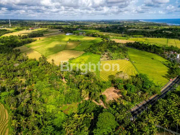 image TANAH DIJUAL MURAH TABANAN - DEKAT PANTAI SOKA  (3)