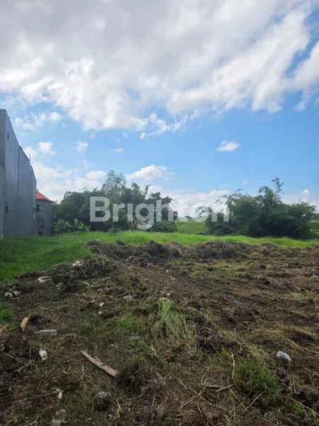 image TANAH KAVLING STRATEGIS DI JL. PATIH NAMBI, DEKAT TERMINAL UBUNG (2)